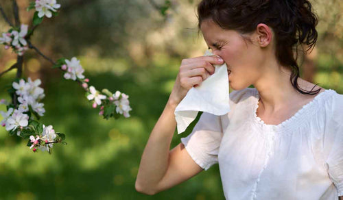 Gut-Check: How Your Gut Health Impacts Your Allergies
