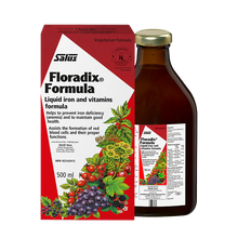 Floradix Liquid Iron